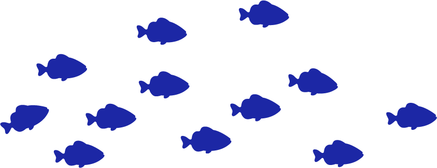 School of dark blue fish