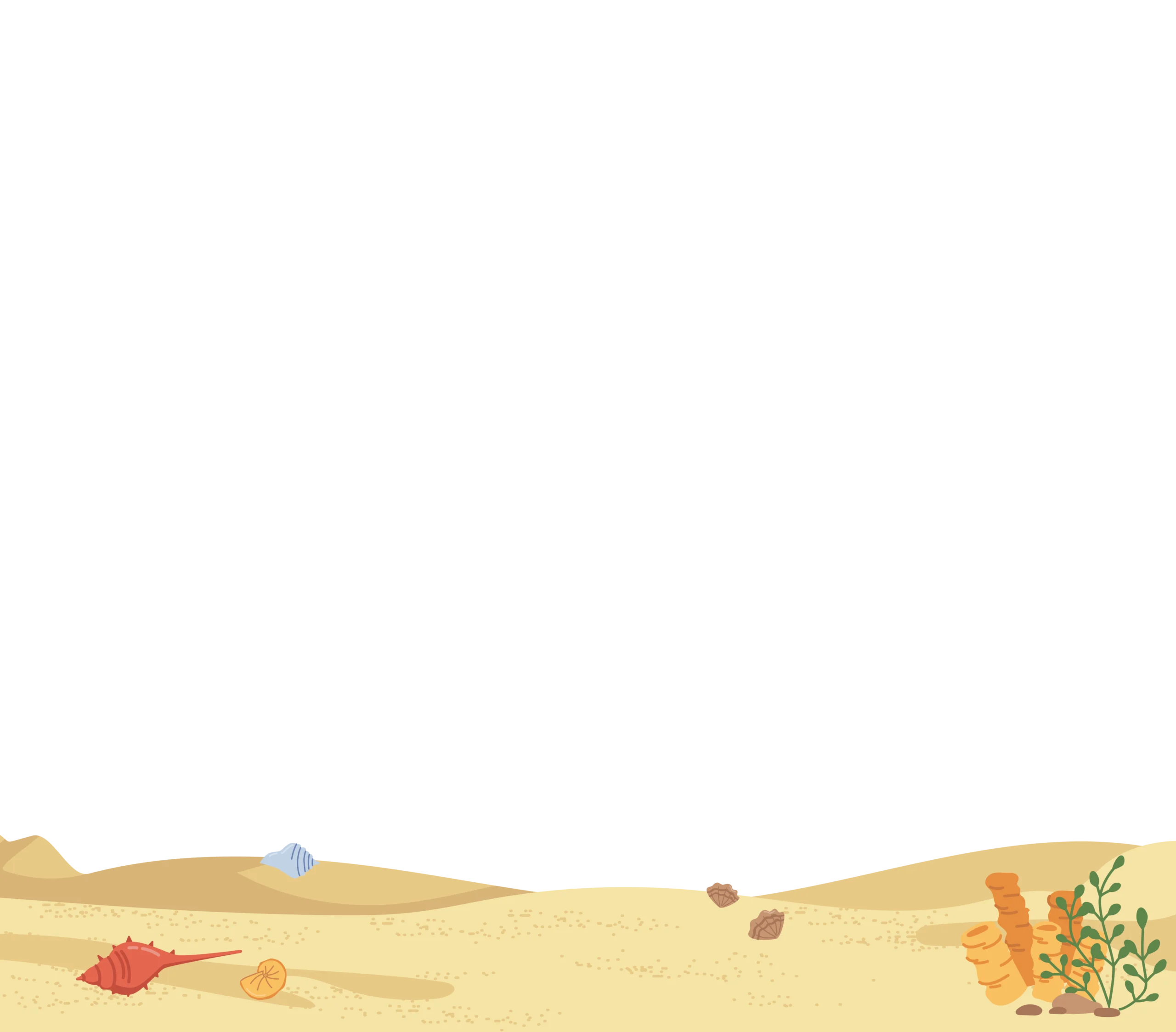 Sandy ocean floor with shells, coral and kelp